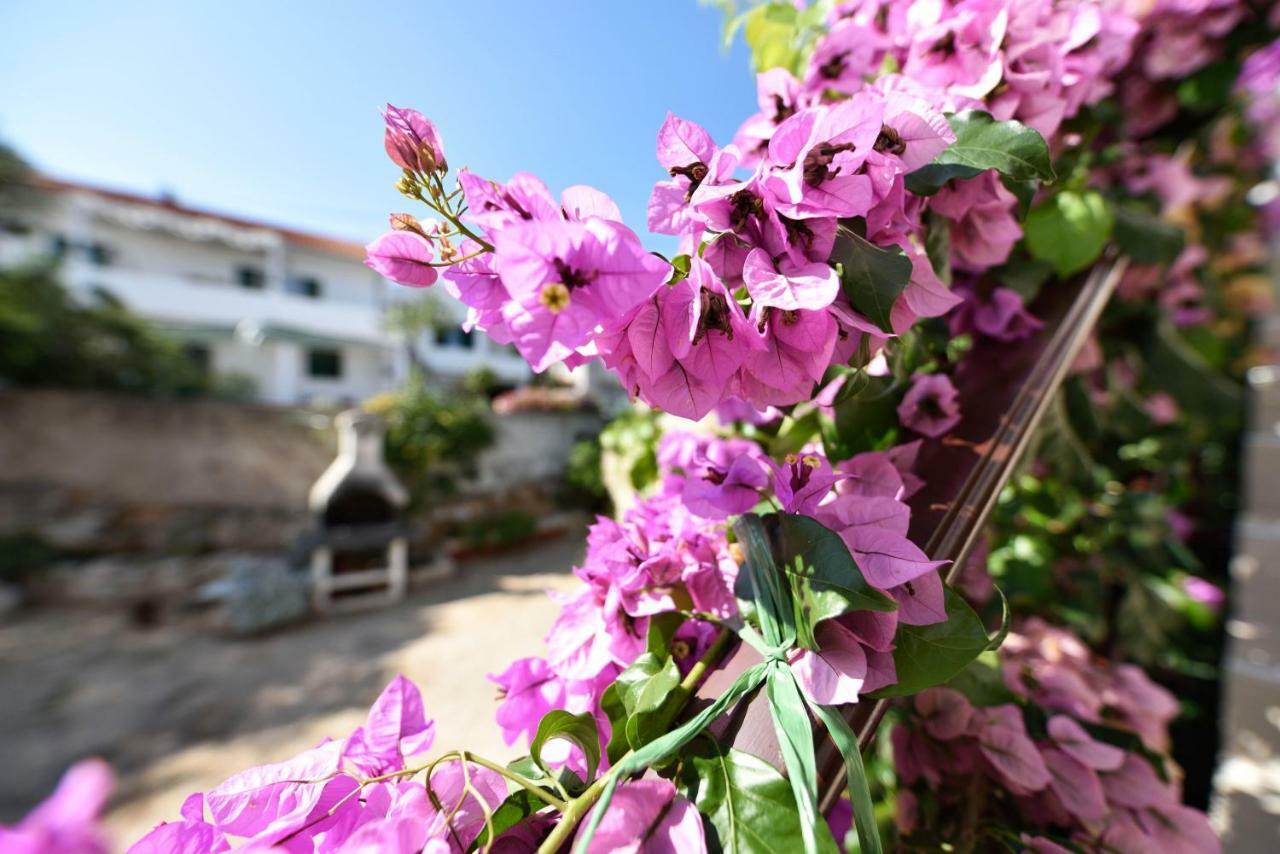 Apartments Lavanda - Free Parking And Grill イェゼラ エクステリア 写真